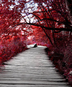 chemin rouge